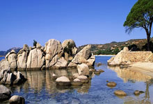 瑞幸咖啡礼品卡领取后怎么使用啊,瑞幸咖啡礼品卡领取后怎么使用啊视频